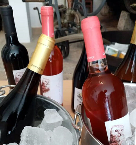 III Mostra de Vinho, Mel e Azeite III Mostra de Vinho, Mel e Azeite